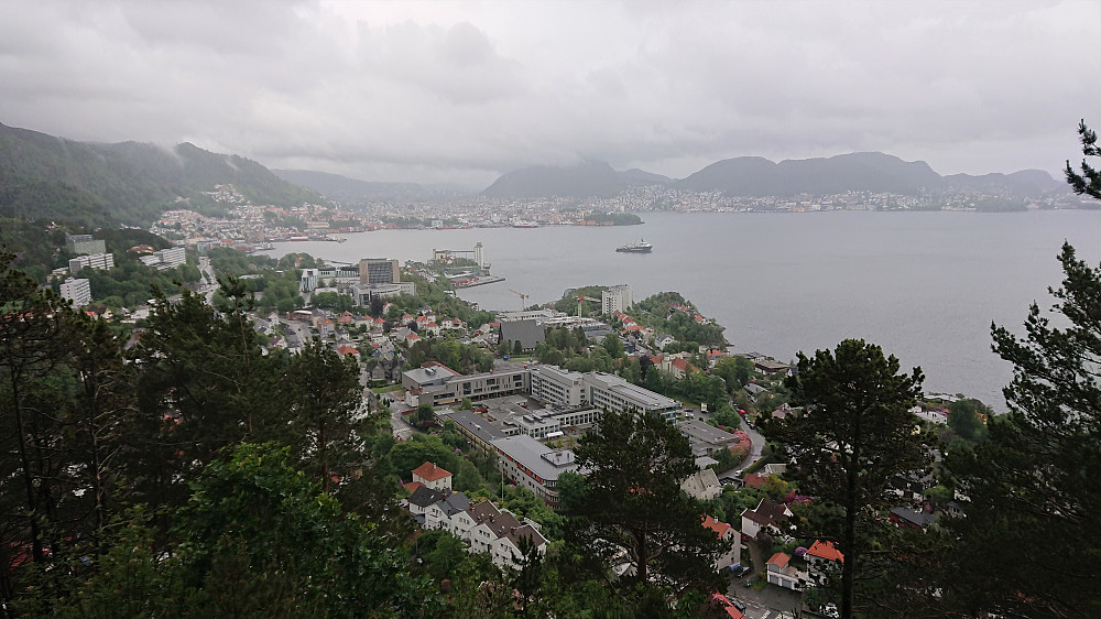 Towards the Bergen city center from the trig marker Furukammen