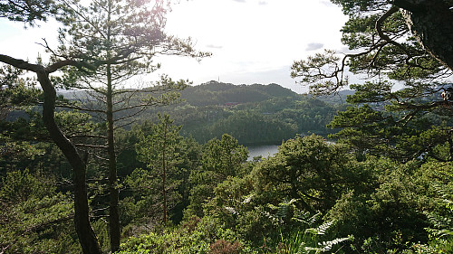 Straumsfjellet from Allestadhaugen