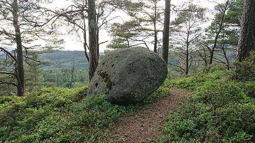 The summit of Hesjaholten