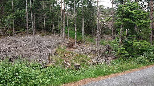 The unmarked trailhead for Nonkletten