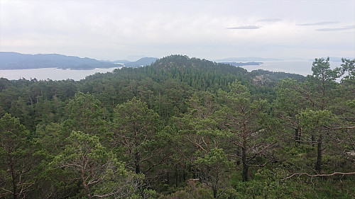 Looking back at Nonkletten from Moldstigahaugen