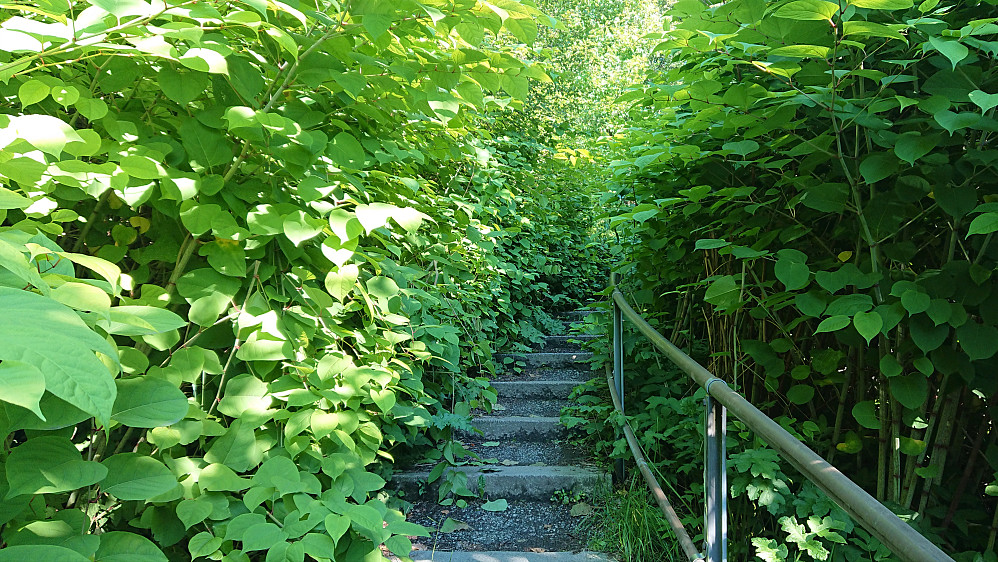 Welcome to the jungle ;)