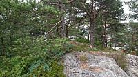 The summit of Kokstadhaugen