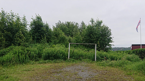 The summit of Skjoldhøgda from the northeast