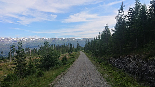 Following the gravel road at the top of Dyrvedalen
