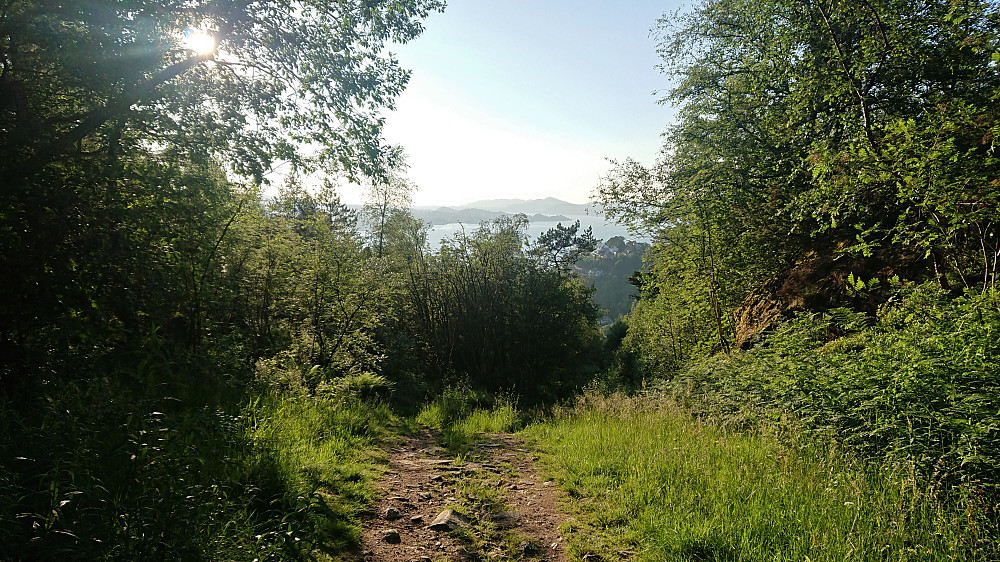 View from the top of Olinestien