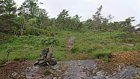 Trail to Ulvaberget