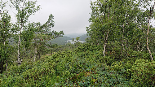 Towards Spåkevatnet from Ullberget