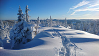 totenasen_20180213_5a82fac537ab1.jpg