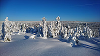 totenasen_20180213_5a82fac5b7af6.jpg