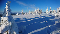 totenasen_20180213_5a82fac662cbd.jpg