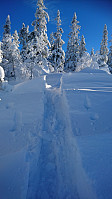 totenasen_20180213_5a82fac6f2ce4.jpg