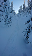 totenasen_20180213_5a82fac77dfbe.jpg