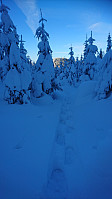totenasen_20180213_5a82fac81e1af.jpg