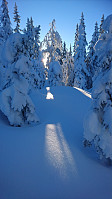 totenasen_20180213_5a82fac8bb5ed.jpg