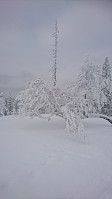 totenasen_20180220_5a8c11d84aa5d.jpg