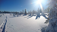 totenasen_20180222_5a8ecfc80da73.jpg