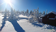 totenasen_20180222_5a8ecfc893ee1.jpg