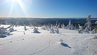 totenasen_20180222_5a8ecfc922eb7.jpg
