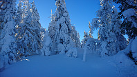 totenasen_20180222_5a8ecfcde9723.jpg