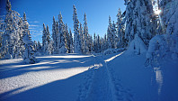 totenasen_20180222_5a8ecfcf06e1b.jpg