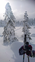 totenasen_20180225_5a92b8a8731fc.jpg