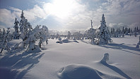 totenasen_20180225_5a92b8a8f418b.jpg