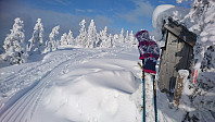 totenasen_20180225_5a92b8a97b899.jpg