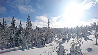 totenasen_20180225_5a92b8aa03597.jpg