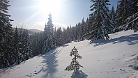 totenasen_20180228_5a96a81536bcf.jpg