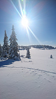 totenasen_20180301_5a97f914d94fe.jpg