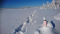 totenasen_20180301_5a97f9157c4a8.jpg