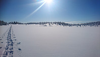 totenasen_20180301_5a97f91629f05.jpg