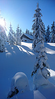 totenasen_20180301_5a97f916b91cf.jpg