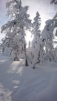 totenasen_20180309_5aa28b29ca4e6.jpg