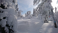 totenasen_20180309_5aa28b2a720b9.jpg