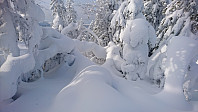 totenasen_20180309_5aa28b2b0ad3c.jpg
