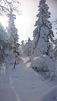 totenasen_20180309_5aa28b2ba6355.jpg