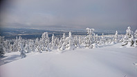 totenasen_20180309_5aa28b2d40488.jpg