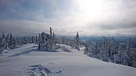 totenasen_20180309_5aa28b2df10cd.jpg