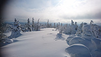 totenasen_20180309_5aa28b2eb021a.jpg