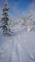 totenasen_20180309_5aa28b30db728.jpg