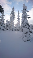 totenasen_20180309_5aa28b327dcac.jpg
