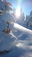totenasen_20180310_5aa3ec9aedf3a.jpg