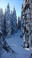 totenasen_20180310_5aa3ec9b75a76.jpg
