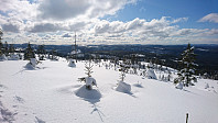 totenasen_20180316_5aabc06f2c37d.jpg