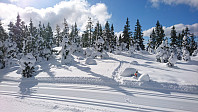 totenasen_20180316_5aabc06faebef.jpg