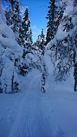 totenasen_20180316_5aabc070c0abe.jpg