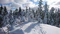 totenasen_20180316_5aabc07158107.jpg