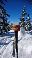 totenasen_20180317_5aad18f470bba.jpg